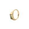 Bi-color Tourmaline Flat Top Ring
