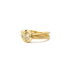 OEC Nest Ring