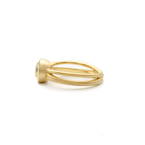 OEC Nest Ring