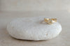 OEC Nest Ring