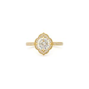 Scalloped Halo