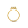 Scalloped Halo