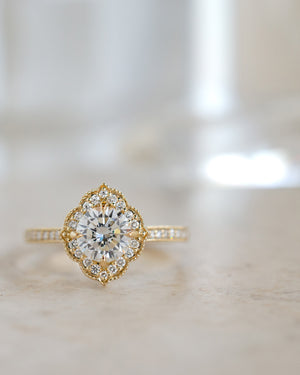 Scalloped Halo