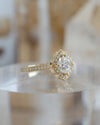 Scalloped Halo