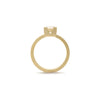 Diamond Flat Shank Ring