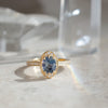 Sapphire Iara Ring