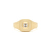 Diamond Mod Signet Ring