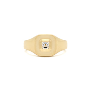 Diamond Mod Signet Ring