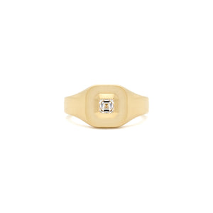 Diamond Mod Signet Ring
