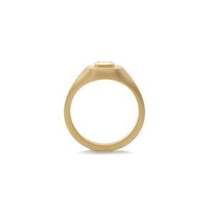 Diamond Mod Signet Ring