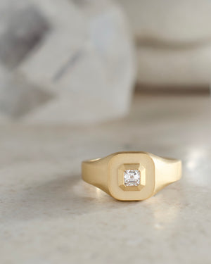 Diamond Mod Signet Ring