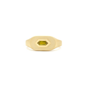 Sapphire Mod Signet Ring
