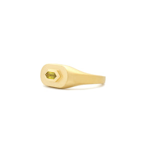 Sapphire Mod Signet Ring