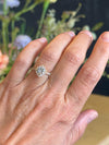 Scalloped Halo