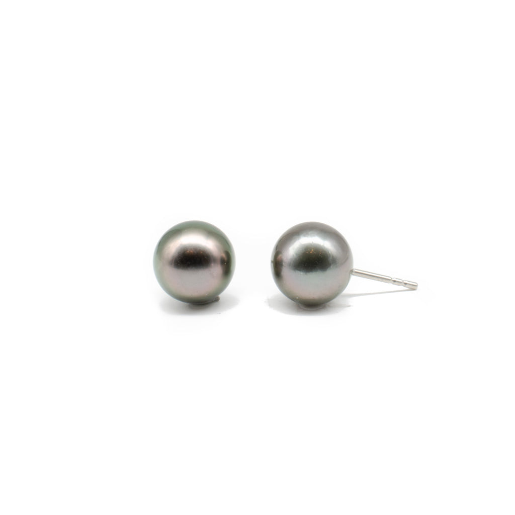 Tahitian Pearl Studs