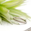 Offset Band White