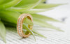 Rose Gold Frankie Band