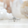 1 Carat Solitaire in White Gold