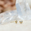 Saucer Studs in Yellow Gold