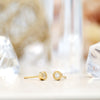 Gold Double Milgrain Studs (Round)